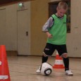 Insgesamt 18 E-Jugendliche vom SuS Isselburg tummelten sich gestern in der Halle am Stromberg, als die beiden DFB-Trainer Thorsten Aberfeld...