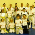 Vor den Erfolg haben die Götter bekanntermaßen den Schweiß gesetzt. Das galt in den vergangenen Wochen auch für die Teakwondo-Sportler...