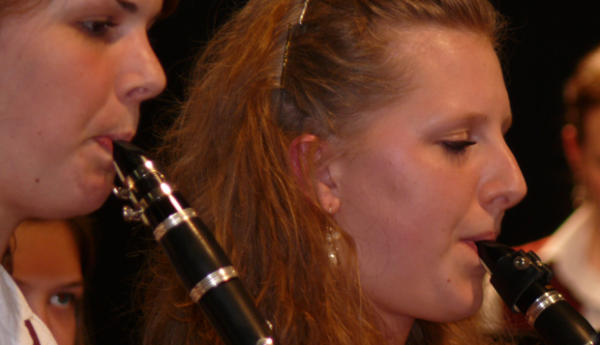 blasorchester_fruehlingskonzert2010_ (21)_bericht