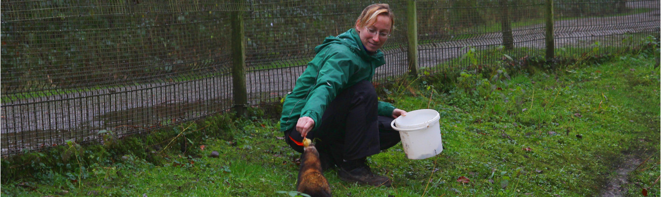 Tierpflegerin Sandra Kühn bei der Arbeit