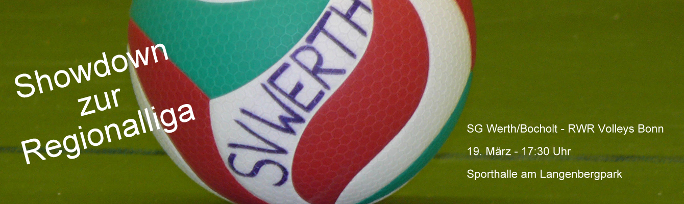 svw_spielball_banner