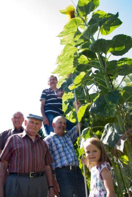 Von links: Wolfgang Westerfeld, Konrad Opitz, Reinholt Pries (vorne) Jürgen Metheling (hinten), Charlotte Schmitz