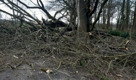 Bild: Feuerwehr Isselburg