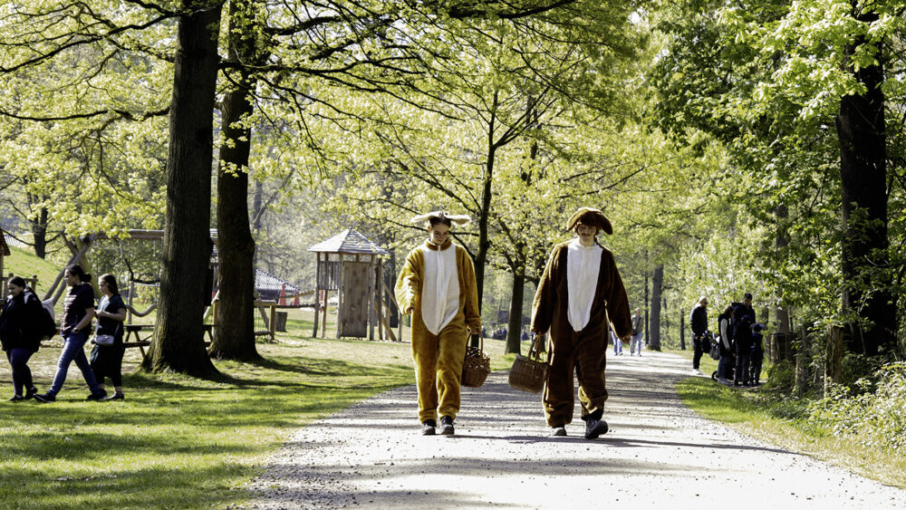 Osterhasen spazieren durch die Anholter Schweiz