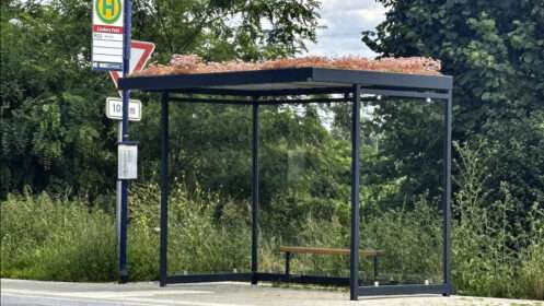 Grünes Wartehäuschen