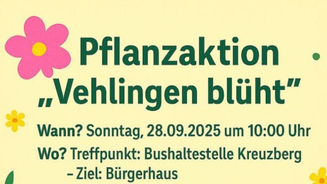 Pflanzaktion