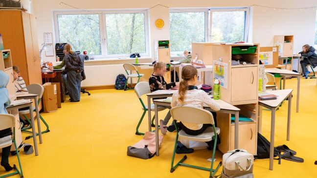 Selbstorganisiertes Lernen