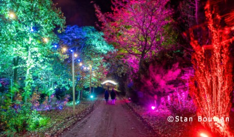 Lichterfest Engbergen