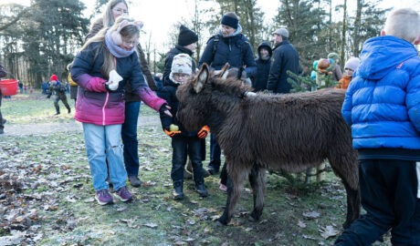 Kinder beschenken Tiere