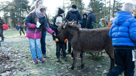 Kinder beschenken Tiere