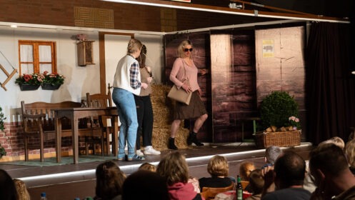 Kreuzfahrt im Schweinestall