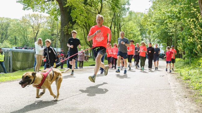 Vierbeiner beim RunUp